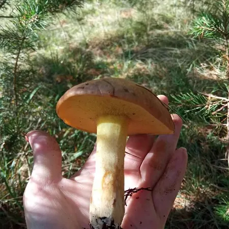 Ranc Crna Stina Livno