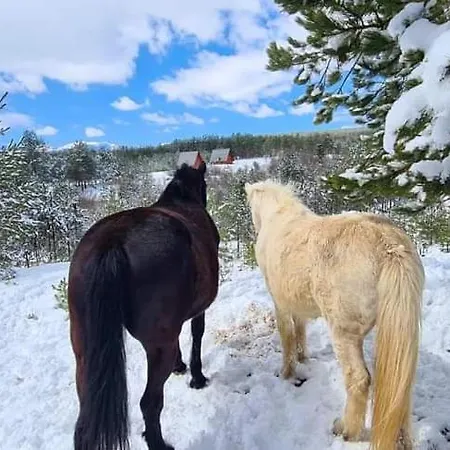 Ranc Crna Stina Tatil Evi