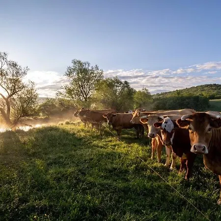 Ranc Crna Stina Tatil Evi Livno