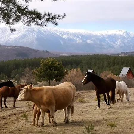 Ranc Crna Stina Livno