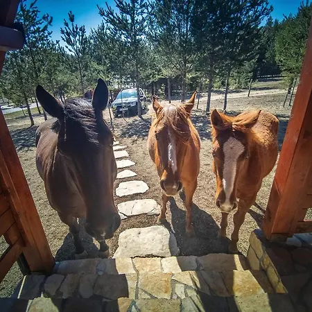 Holiday home Ranc Crna Stina