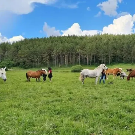 Hébergement de vacances Ranc Crna Stina Livno