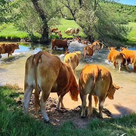 Ranc Crna Stina Hébergement de vacances Livno