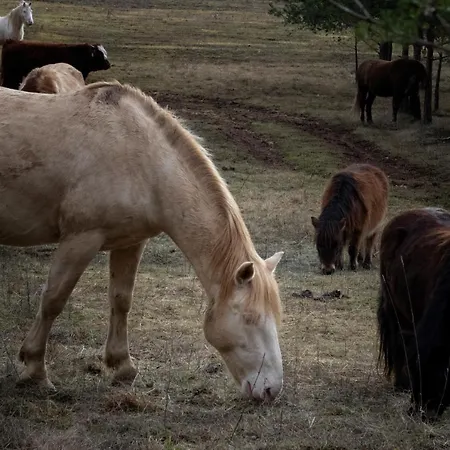Feriehus Ranc Crna Stina Livno