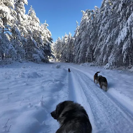 Ranc Crna Stina בית נופש ליבנו