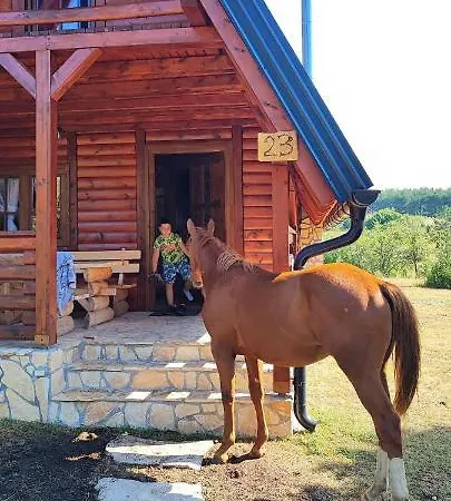 Ranc Crna Stina Holiday home