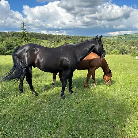 Ranc Crna Stina Livno