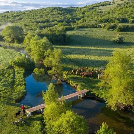Ranc Crna Stina Holiday home