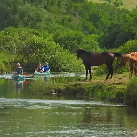 Ranc Crna Stina Tatil Evi *