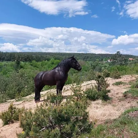 Ranc Crna Stina * Livno