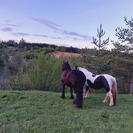 Holiday home Ranc Crna Stina