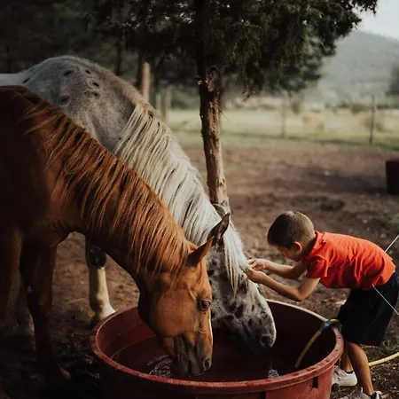 Tatil Evi Ranc Crna Stina *