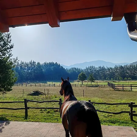 Ranc Crna Stina Livno