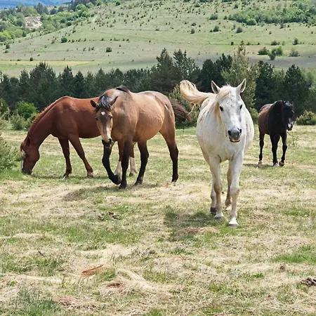 Ranc Crna Stina Tatil Evi Livno