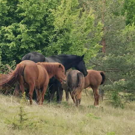 Ranc Crna Stina * Livno