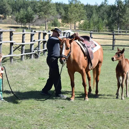 Ranc Crna Stina Tatil Evi