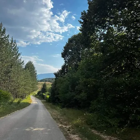 Ranc Crna Stina Holiday home
