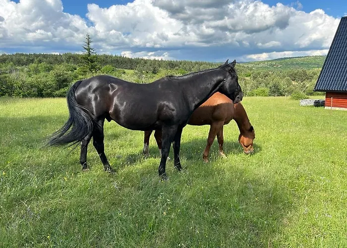 Ranc Crna Stina Livno